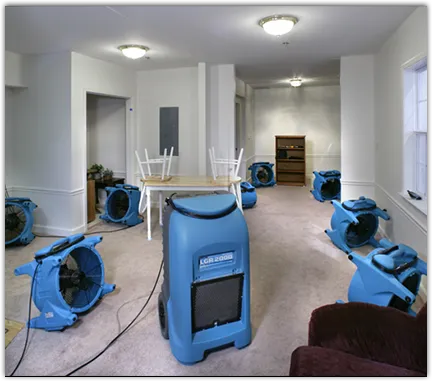 Water Mitigation Services in Independent Hill, VA