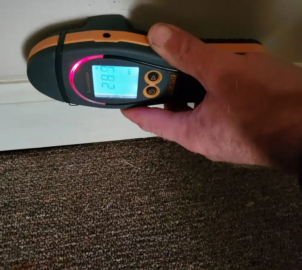 Moisture detection at baseboard during Sewage Cleanup & Sanitation in Independent Hill